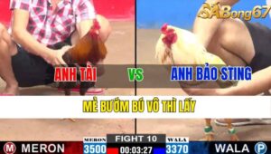 TRẬN 10 CPC2 08/11/2024 : ANH TÀI VS ANH BẢO STING