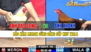 TRẬN 10 CPC2 15/11/2024 : ANH BẢO STING VS ANH KHANH