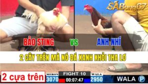 TRẬN 10 CPC2 24/11/2024: ANH BẢO STING VS ANH NHÍ VL