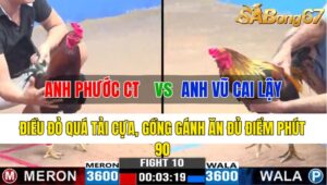 TRẬN 10 CPC3 05/11/2024 : ANH PHƯỚC CẦN THƠ VS ANH VŨ CAI LẬY