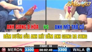 TRẬN 10 CPC3 19/11/2024 : ANH GIANG ĐỨC HÒA VS ANH MÍT TRÀ CÚ