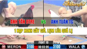 TRẬN 10 CPC3 27/11/2024 : ANH TÂN BẾN TRE VS ANH TUẤN TIỀN GIANG