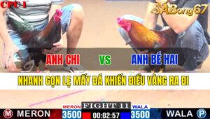 TRẬN 11 CPC1 21/11/2024 : ANH CHI VS ANH BÉ HAI