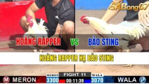 TRẬN 11 CPC2 13/11/2024 : HOÀNG RAPPER VS BẢO STING