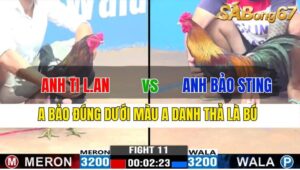 TRẬN 11 CPC2 20/11/2024 : ANH TI LONG AN VS ANH BẢO STING