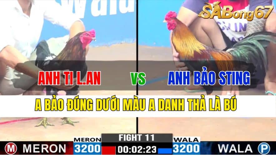 TRẬN 11 CPC2 20/11/2024 : ANH TI LONG AN VS ANH BẢO STING