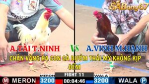 TRẬN 11 CPC3 04/11/2024 : ANH TÀI TÂY NINH VS ANH VINH MỸ HẠNH