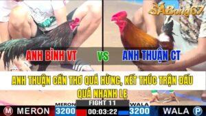 TRẬN 11 CPC3 06/11/2024 : ANH BÌNH VŨNG TÀU VS ANH THUẬN CẦN THƠ