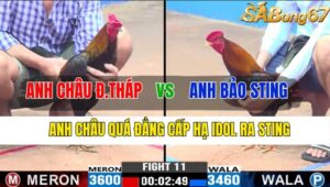 TRẬN 11 CPC3 09/11/2024 : ANH CHÂU ĐỒNG THÁP VS ANH BẢO STING