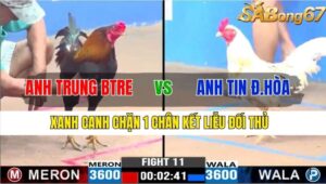 TRẬN 11 CPC3 17/11/2024 : ANH TRUNG BẾN TRE VS ANH TIN ĐỨC HÒA