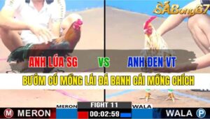 TRẬN 11 CPC3 18/11/2024 : ANH LÚA SÀI GÒN VS ANH ĐEN VŨNG TÀU