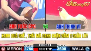 TRẬN 11 CPC3 19/11/2024 : ANH TƯỚC CAMPUCHIA VS ANH THỊNH VŨNG TÀU