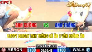 TRẬN 12 CPC1 05/11/2024 : ANH CƯỜNG VS ANH THẮNG