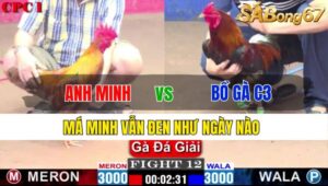 TRẬN 12 CPC1 23/11/2024: ANH MINH LONG AN VS BỒ GÀ C3