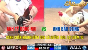 TRẬN 12 CPC2 03/11/2024 : ANH TÝ ĐN VS ANH BẢO STING