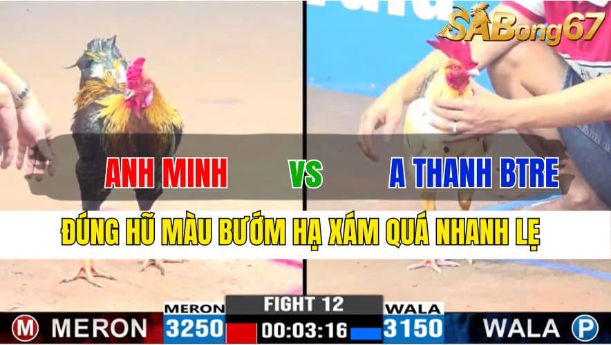 TRẬN 12 CPC3 20/11/2024 : ANH MINH VS ANH THANH BẾN TRE