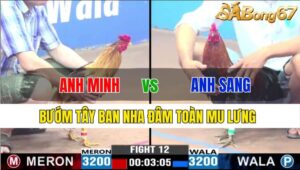 TRẬN 12 CPC3 22/11/2024: ANH MINH BTRE VS ANH SANG CAY LẬY