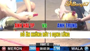 TRẬN 12 CPC3 26/11/2024 : ANH HAI THÀNH PHỐ VS ANH TRUNG