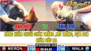 TRẬN 13 CPC1 18/11/2024 : ANH HIẾU VS ANH LAM