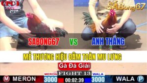 TRẬN 13 CPC1 23/11/2024: SABONG67 VS ANH THẮNG BTRE B