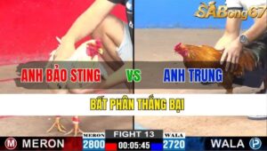 TRẬN 13 CPC2 13/11/2024 : ANH BẢO STING VS ANH TRUNG