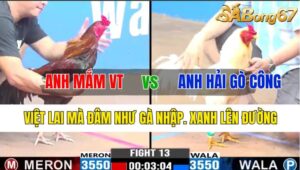 TRẬN 13 CPC3 06/11/2024 : ANH MẮM VŨNG TÀU VS ANH HẢI GÒ CÔNG