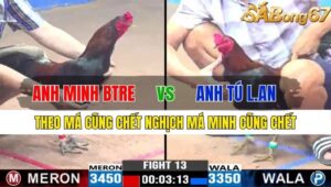 TRẬN 13 CPC3 15/11/2024 : ANH MINH BẾN TRE VS ANH TÚ LONG AN