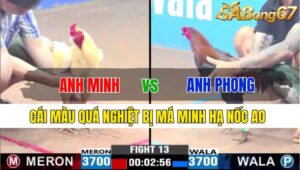 TRẬN 13 CPC3 22/11/2024: ANH MINH BT VS ANH PHONG ĐT