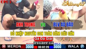 TRẬN 14 CPC1 23/11/2024: ANH TRONG TN VS BLV AD BÁO