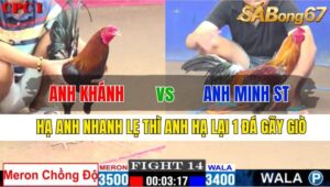 TRẬN 14 CPC1 25/11/2024 : ANH KHÁNH VS ANH MINH SÓC TRĂNG