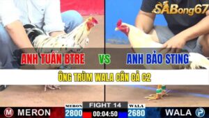 TRẬN 14 CPC2 15/11/2024 : ANH TUẤN BẾN TRE VS ANH BẢO STING