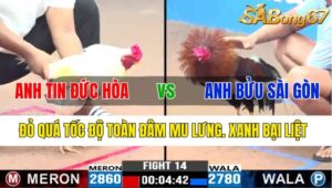 TRẬN 14 CPC3 05/11/2024 : ANH TIN ĐỨC HÒA VS ANH BỬU SÀI GÒN