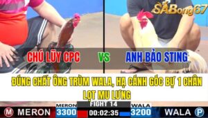 TRẬN 14 CPC3 09/11/2024 : CHÚ LŨY CPC VS ANH BẢO STING