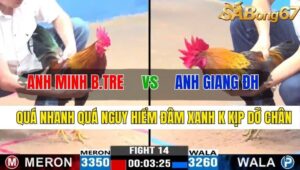 TRẬN 14 CPC3 10/11/2024 : ANH MINH BẾN TRE VS ANH GIANG ĐỨC HÒA