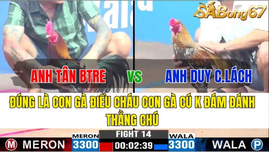 TRẬN 14 CPC3 20/11/2024 : ANH TÂN BẾN TRE VS ANH DUY CHỢ LÁCH