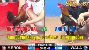 TRẬN 15 CPC2 03/11/2024 : ANH TÝ ĐN VS A TƯ MÃ Ý