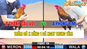 TRẬN 15 CPC3 07/11/2024 : ANH THÀNH CẦU VOI VS ANH PHONG BÁNH MÌ