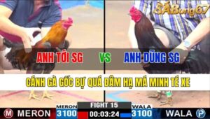 TRẬN 15 CPC3 10/11/2024 : ANH TỚI SÀI GÒN VS ANH DŨNG SÀI GÒN