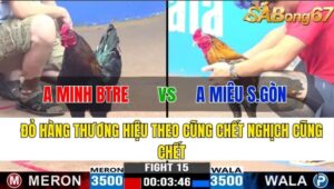 TRẬN 15 CPC3 13/11/2024 : ANH MINH BẾN TRE VS ANH MIÊU SÀI GÒN