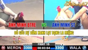 TRẬN 15 CPC3 15/11/2024 : ANH MINH BẾN TRE VS ANH MINH SÓC TRĂNG