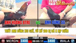 TRẬN 15 CPC3 16/11/2024 : ANH HOÀNG BẾN TRE VS ANH DŨNG SÀI GÒN