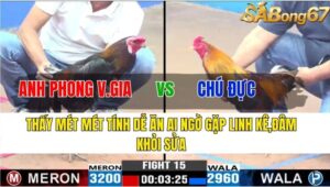 TRẬN 15 CPC3 17/11/2024 : ANH PHONG VĨNH GIA VS CHÚ ĐỰC