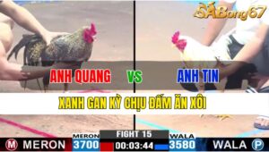 TRẬN 15 CPC3 21/11/2024 : ANH QUANG CẦN THƠ VS ANH TIN ĐH