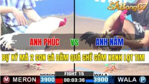 TRẬN 15 CPC3 22/11/2024: ANH PHÚC VS ANH NĂM ĐN