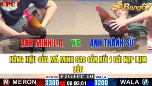 TRẬN 16 CPC1 14/11/2024 : ANH MINH LONG AN VS ANH THÀNH SỬ