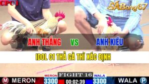 TRẬN 16 CPC1 21/11/2024 : ANH THẮNG VS ANH KIỀU