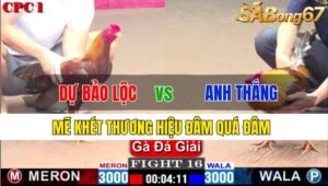 TRẬN 16 CPC1 23/11/2024: ANH DỰ BẢO LỘC VS ANH THẮNG BTRE A