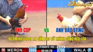 TRẬN 16 CPC2 03/11/2024 : ANH CỌP VS A BẢO STING