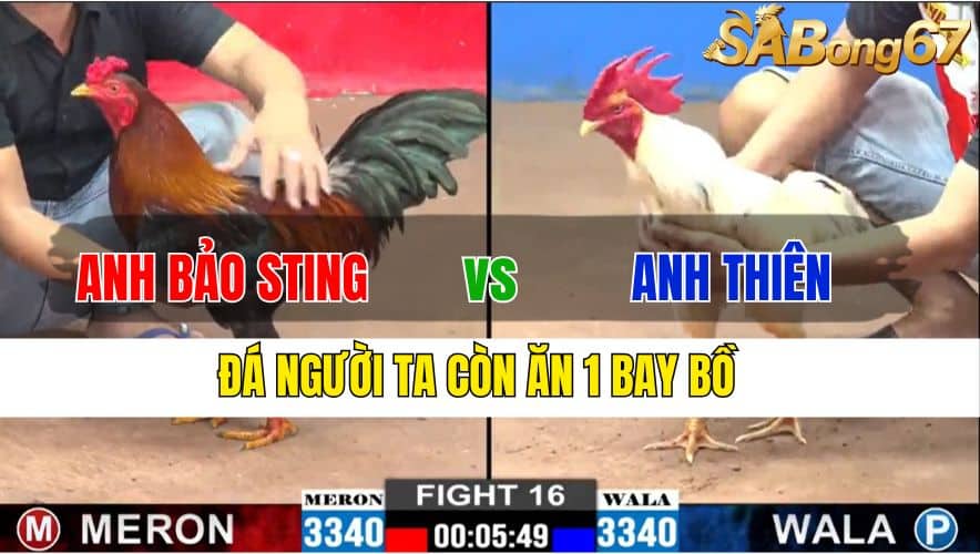 TRẬN 16 CPC2 20/11/2024 : ANH BẢO STING VS ANH THIÊN