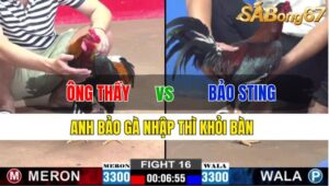 TRẬN 16 CPC2 22/11/2024: ÔNG THẦY VS ANH BẢO STING